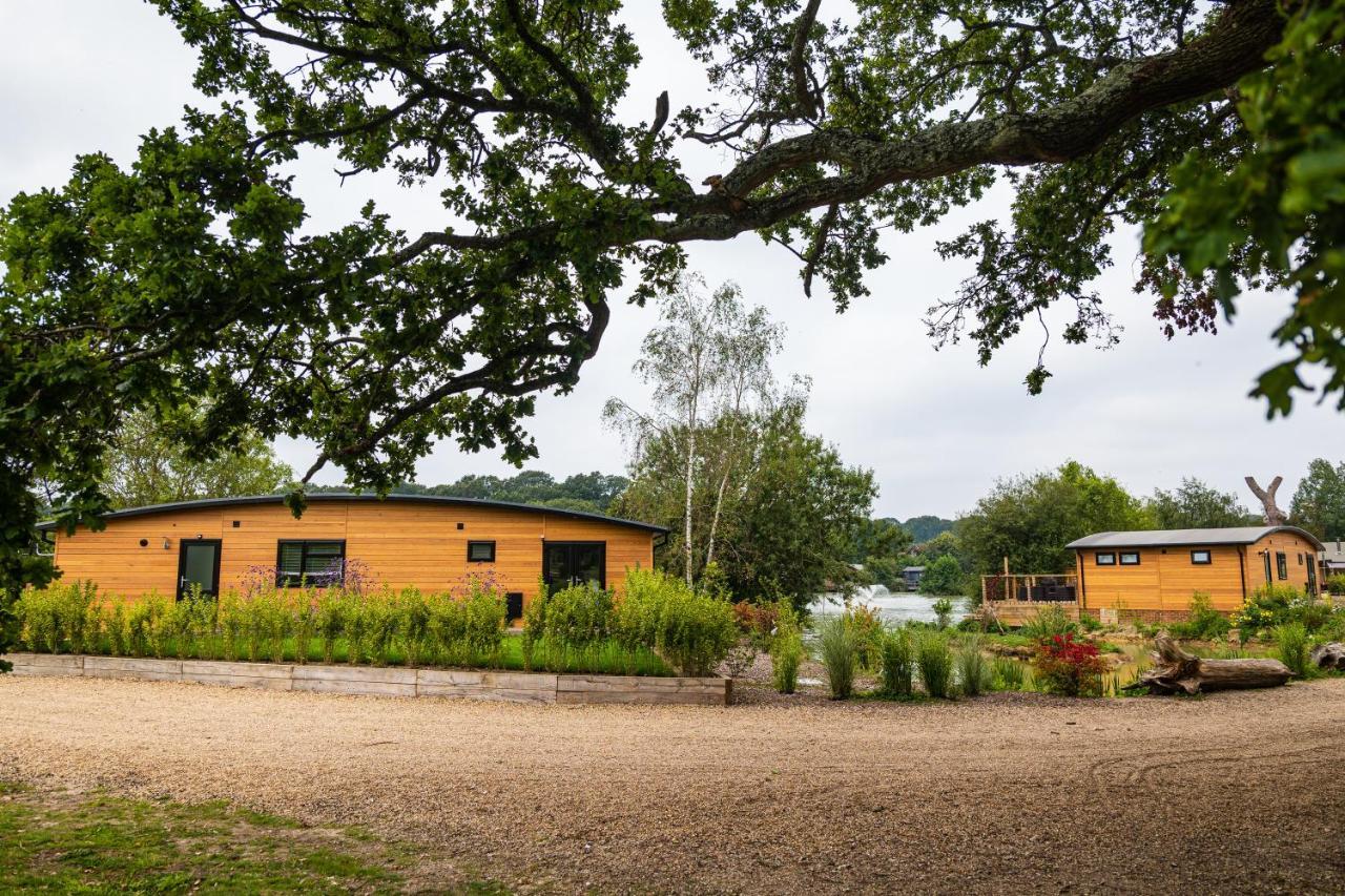 Hotel Sumners Ponds Fishery & Campsite Horsham Exterior foto